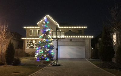 House and evergreen tree with christmas lights