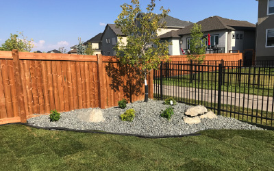 Rock garden with tree and freshly laid sod